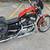 2001 Harley Davidson Sportster 1200 3 thumbnail