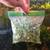 Water Sprangles Java Moss Trades 3 thumbnail