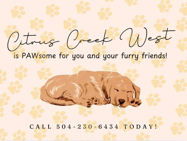 $1,380 / 1br - 899ft2 - 🐾Citrus Creek West is PAWsome🐾 (5323 Citrus Blvd.)63792145862913120