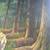 Large Custom Reptile/Animal Cage 10 thumbnail