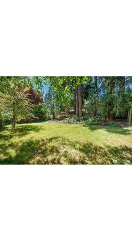 $2,300 / 2br - 1100ft2 - 2bed 1bath House (Shoreline)63811610653699124