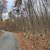 Excellent wooded property, mature hardwood timber! 19 thumbnail
