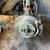HEAD GASKETS***ENGINE REPAIRS***TIMING KITS***ASE CERTIFIED 23 thumbnail