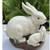 Garden Decor- $10 or $15 7 thumbnail