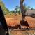 Forestry mulching, land clearing, and excavation services 3 thumbnail