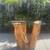 Biophilic Boho Console or Bar Height Table, Gorgeous Tree Trunk! 1 thumbnail