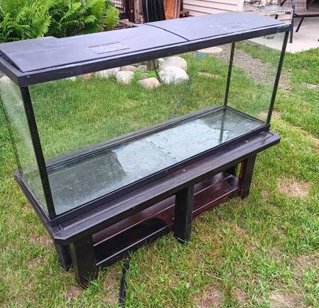 55 gallon fish aquarium 1