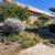 Professional Landscaping Services 13 thumbnail