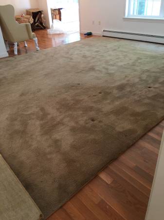 Wool Rug 12' x 18" 1