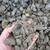 SPLIT LOAD DELIVERIES....Gravel  Bark  Compost Rock.. We DELIVER/DUMP 6 thumbnail