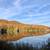 741’Waterfront 5 ac.Real Estate $62,000. 12 thumbnail