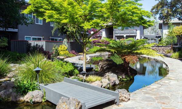 $3,521 / 3br - 1050ft2 - Ubicado en Hayward, servicio de patrulla de cortesía, 3 habitaciones (hayward / castro valley)63622931132673121