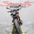 2017 KTM 390 Duke Naked 7 thumbnail