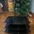 Tv stand 1 thumbnail