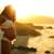 Portrait Photographer - FAMILY, COUPLE, MATERNITY, BABY - Photography 11 thumbnail