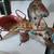 mobo pony express pedal pony 10 thumbnail