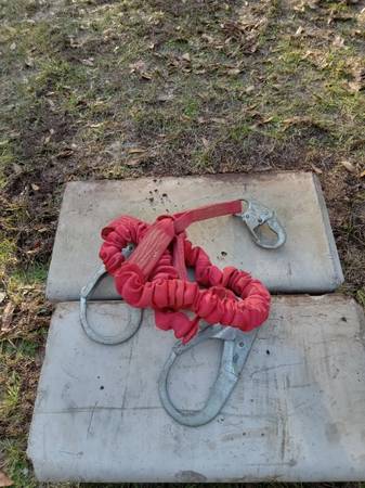 Protecta Industrial Safety Belt 1