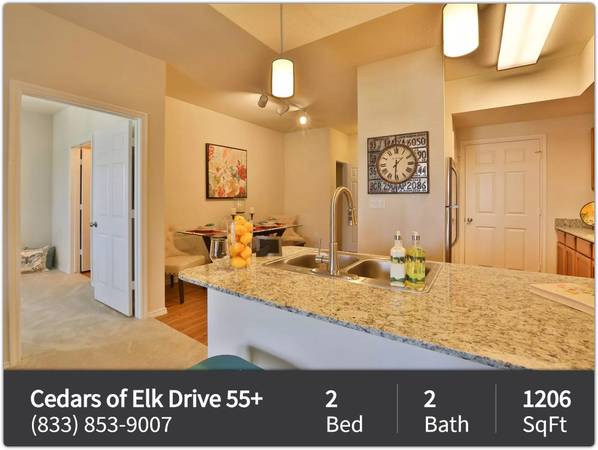 Beautiful 2 Bed / 2 Bath Layout, Tons of Light. Call for a Tour! 1