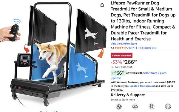 Dog Treadmill 1