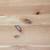 IKEA Solid Wood (Pine) HEMNES Coffee Table, Square, Light Brown 7 thumbnail
