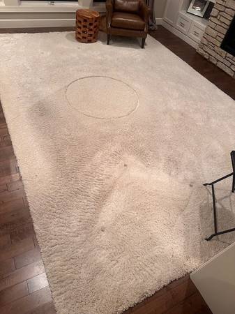 Area Shag Rug  10x14 1