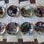 Collector dog plates 1 thumbnail