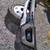 2021 Ford Ranger Front Bumper 2 thumbnail