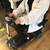 Mobility Scooter 5 thumbnail