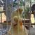Baby cockatiels 3 thumbnail