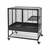 ​Frisco Small Animal Cage 1 thumbnail