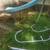 Pool Slide 8 thumbnail