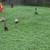 3 female ducks 2 thumbnail