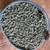 Non-GMO Chicken Feed for Laying hens! 3 thumbnail