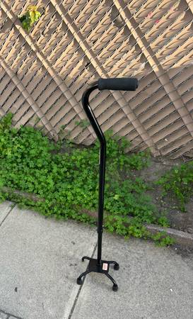 WALKING CANE 1