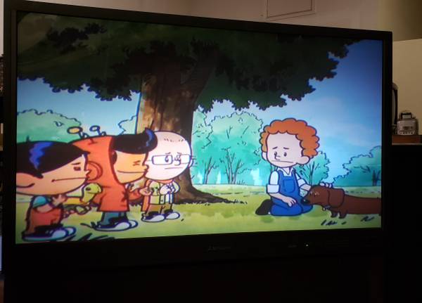 48" Mitsubish Projection High Definition 1080 HDTV 1