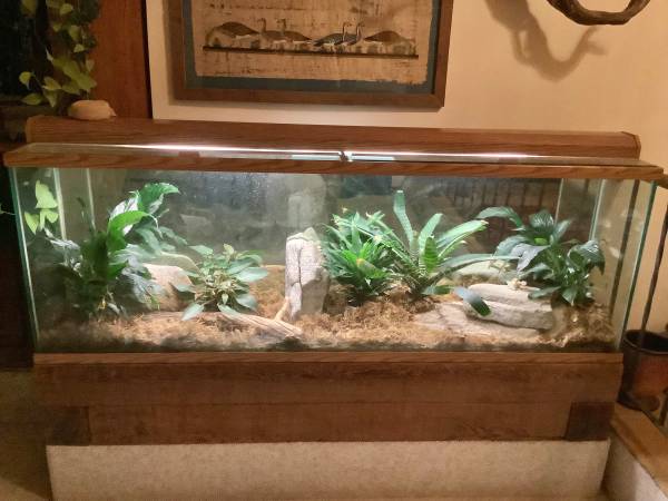 Acuario/terrario (Visalia)63873027958147120