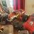 R/C Trucks 3 thumbnail