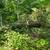 Firewood 3 thumbnail