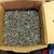 1 3/8"  DRYWALL NAILS 20LBS 1 thumbnail