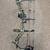 Diamond Nitrous Compound Bow 1 thumbnail
