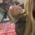 Ball python 1 thumbnail