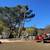 TREE &STUMP GRINDING &STUMP REMOVAL SERVICE 3 thumbnail