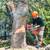 🇺🇸AMERICAN TREE TRIMMMING/TREE REMOVAL FULLY EQUIPPED 7 DAYS A WEEK 22 thumbnail