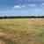Hay Bales Round Bales 4 thumbnail