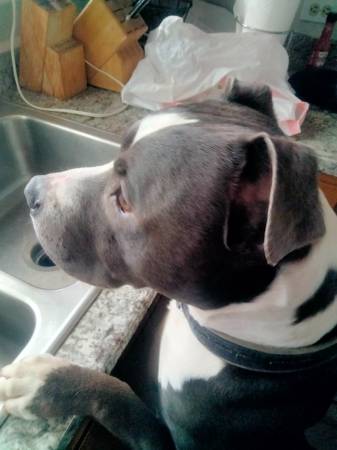 Mighty is my name (Denver)63921242997507124