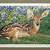 Whitetail Deer Fawn Print Ltd. Ed Original Charles Beckendorf Signed 2 thumbnail