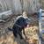 Paws2Paws, Pet Sitting Services 14 thumbnail