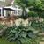 Beautiful private space in quiet home with pool and gardens 8 thumbnail