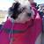 AG Pet Carrier/Backpack 5 thumbnail
