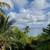 Furnished Ocean View Hull Bay 6 thumbnail